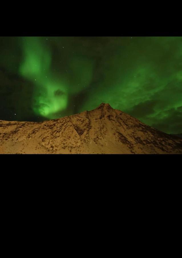 Senja Villa Gryllefjord Exteriör bild